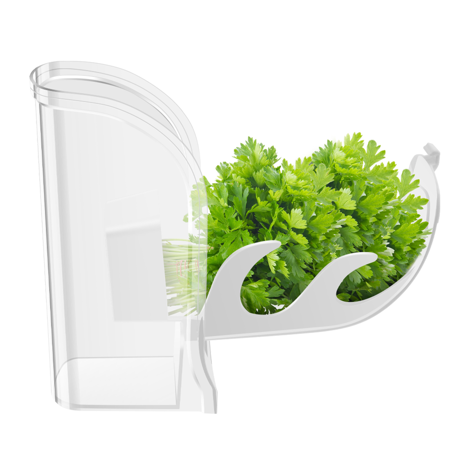 Bac à légumes pour herbes, réc - Kitchen Gadgets Modern avis et prix