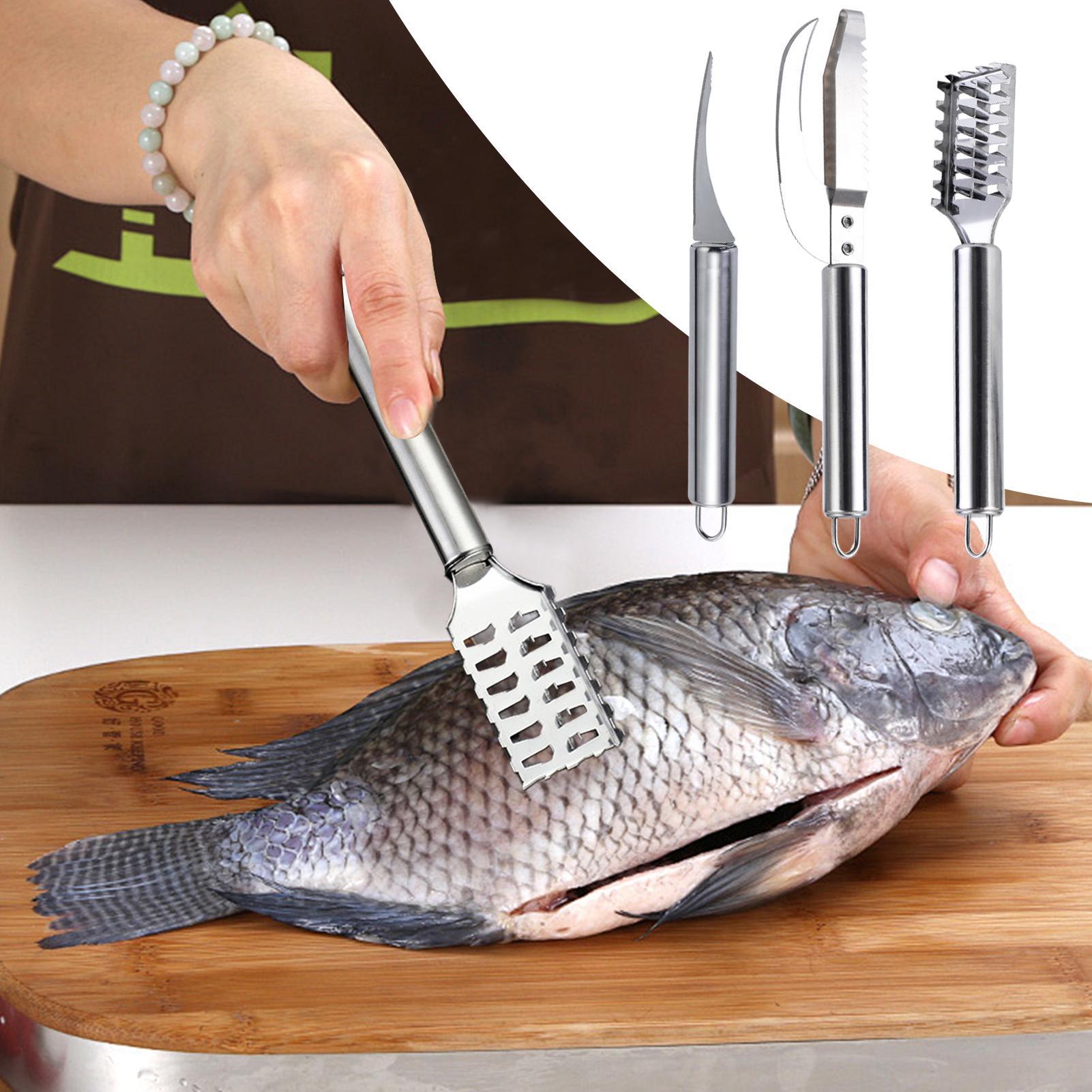 Couteau à écailler le poisson, - Kitchen Gadgets That Are Useful avis et prix
