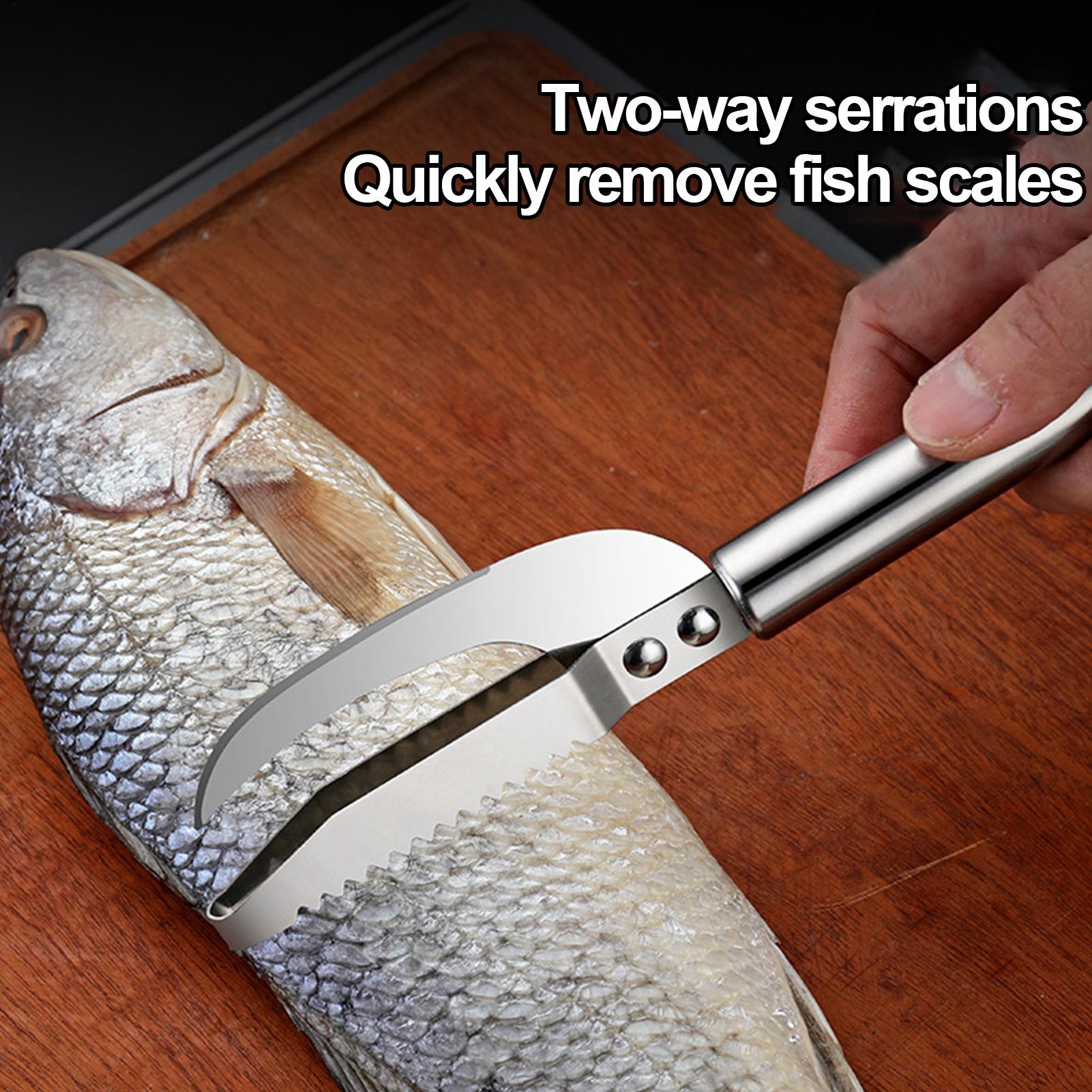 Couteau à écailler le poisson, - Kitchen Gadgets That Are Useful avis et prix
