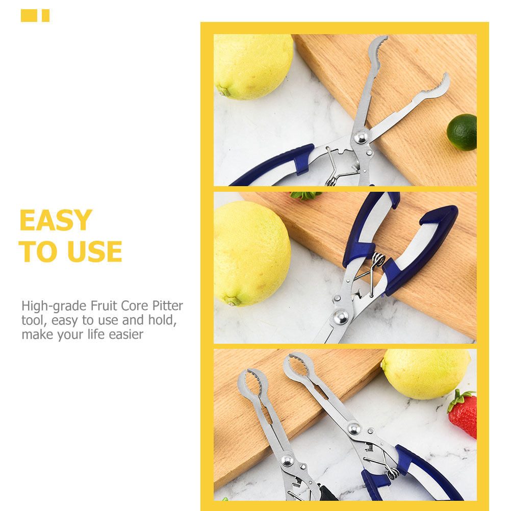 Outil de dénoyautage d'aubépin - Kitchen Gadgets & Toys avis et prix