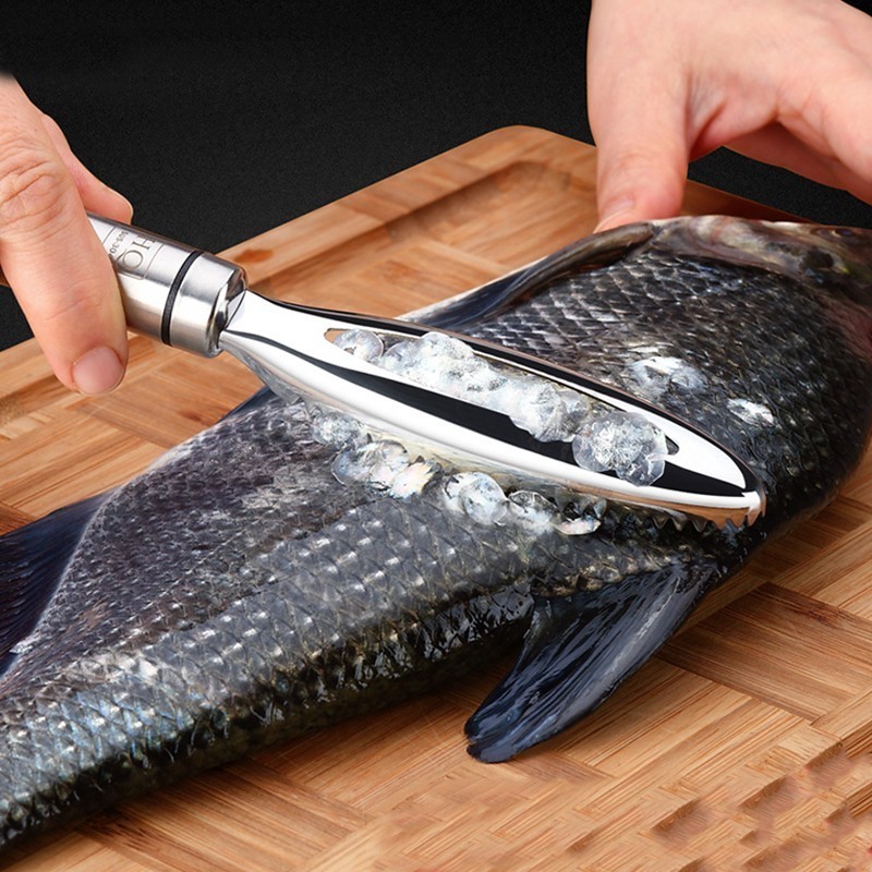 Inoxydable Écailles de Poisson - Kitchen Gadgets Everyone Needs avis et prix