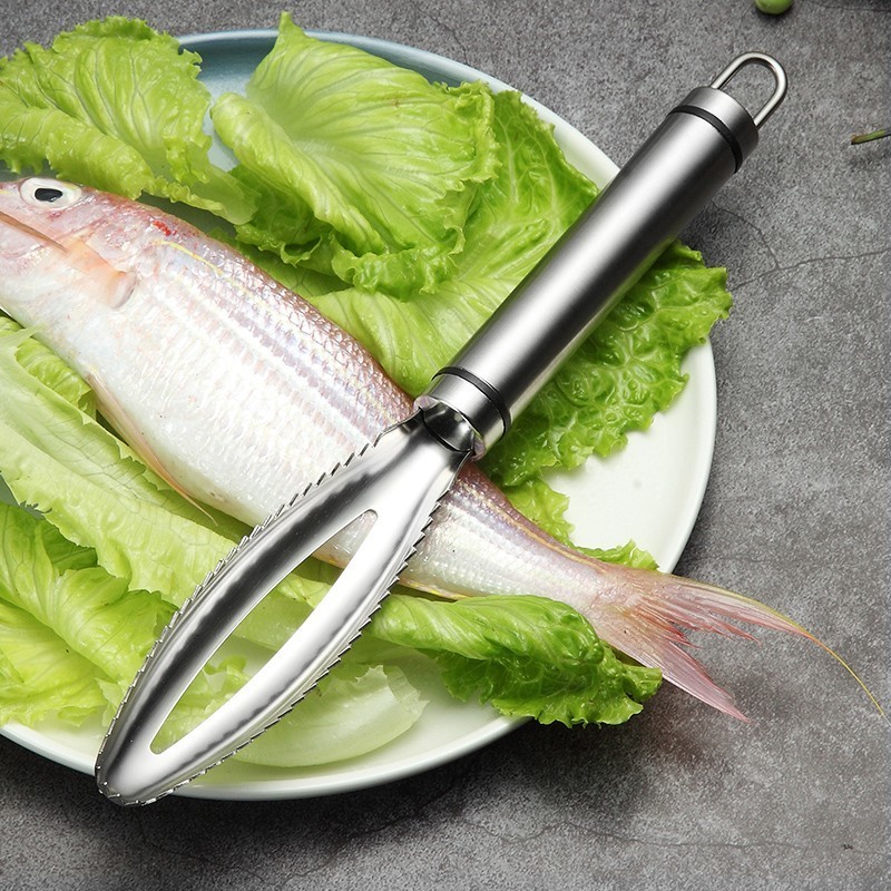 Inoxydable Écailles de Poisson - Kitchen Gadgets Everyone Needs avis et prix