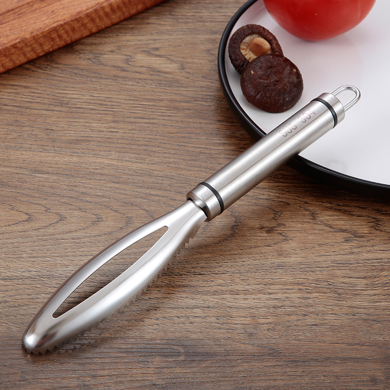 Inoxydable Écailles de Poisson - Kitchen Gadgets Everyone Needs avis et prix