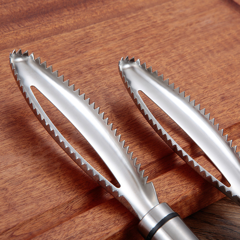Inoxydable Écailles de Poisson - Kitchen Gadgets Everyone Needs avis et prix